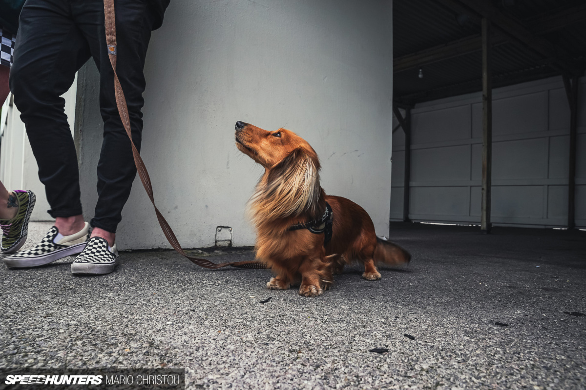 Players Classic 2022 Sunday-132