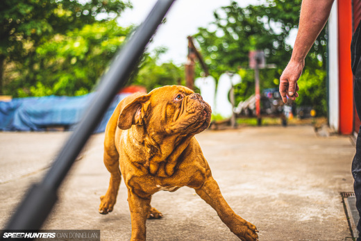 RHM_106_Maxi_Pic_By_CianDon&nbsp;(180)