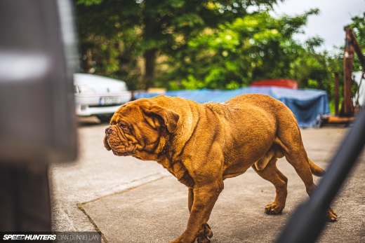 RHM_106_Maxi_Pic_By_CianDon&nbsp;(181)