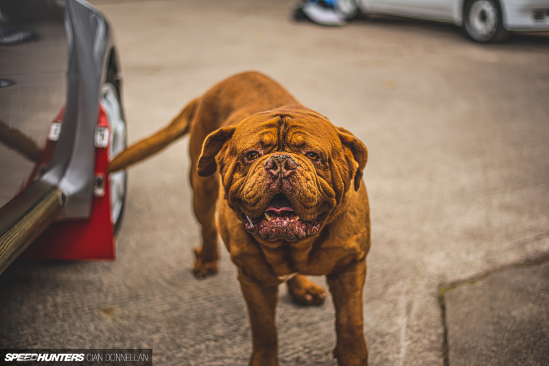 RHM_106_Maxi_Pic_By_CianDon&nbsp;(186)