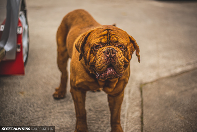 RHM_106_Maxi_Pic_By_CianDon&nbsp;(187)