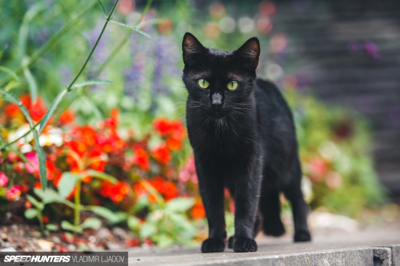 spa-24h-parade-2022-by-wheelsbywovka-6