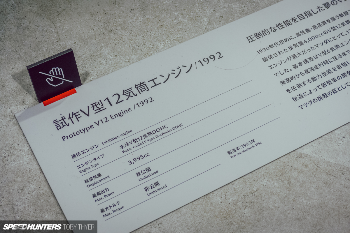 Toby_Thyer_Photographer_-65