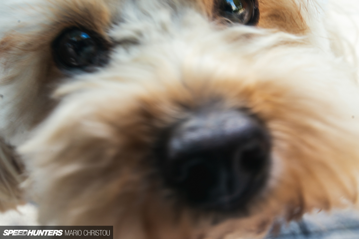 Olli Ploeger Porsches-45