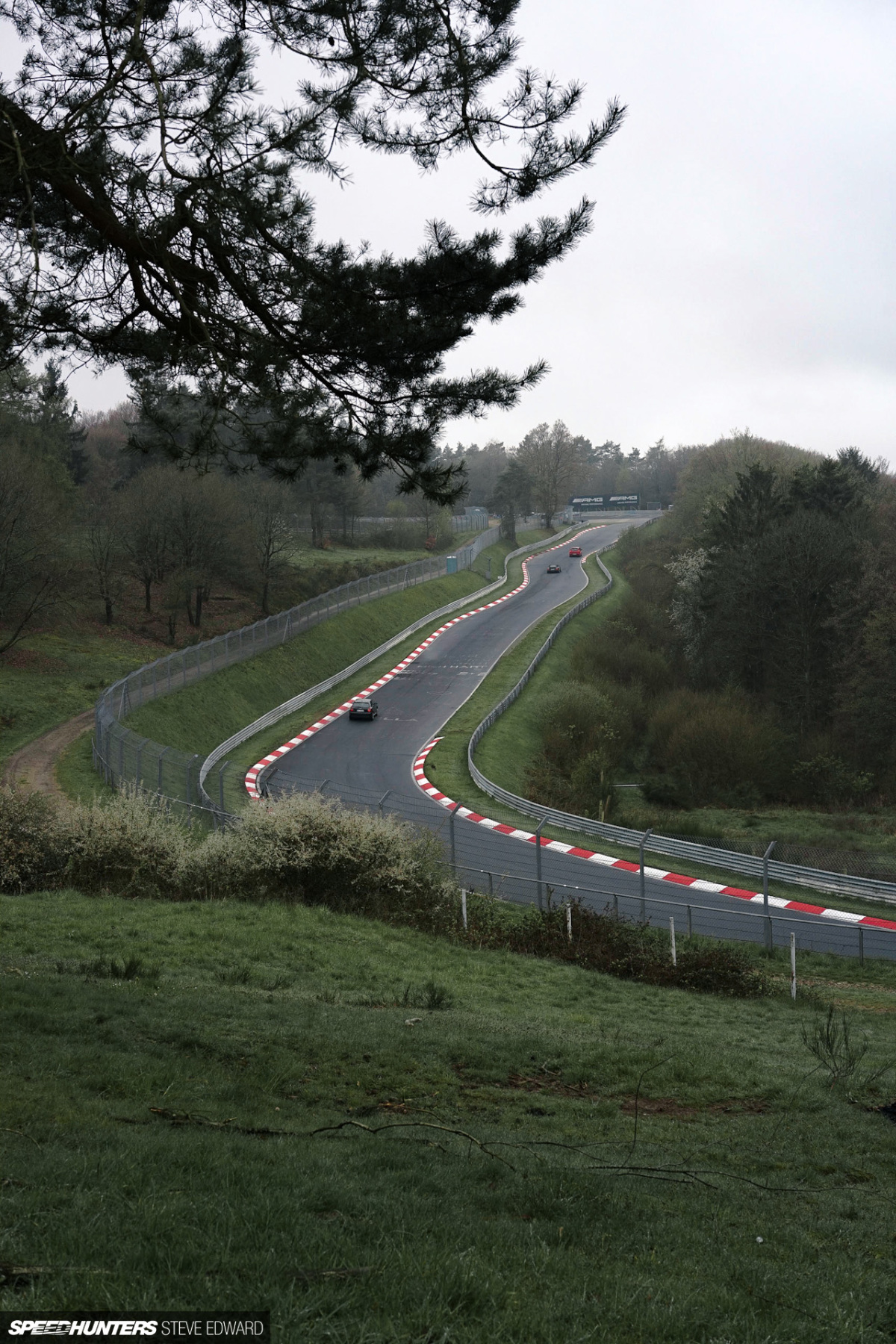 SH_Steve_Edward_DSC03699