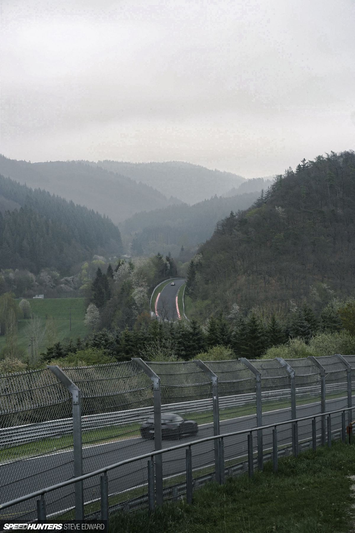 SH_Steve_Edward_DSC03777