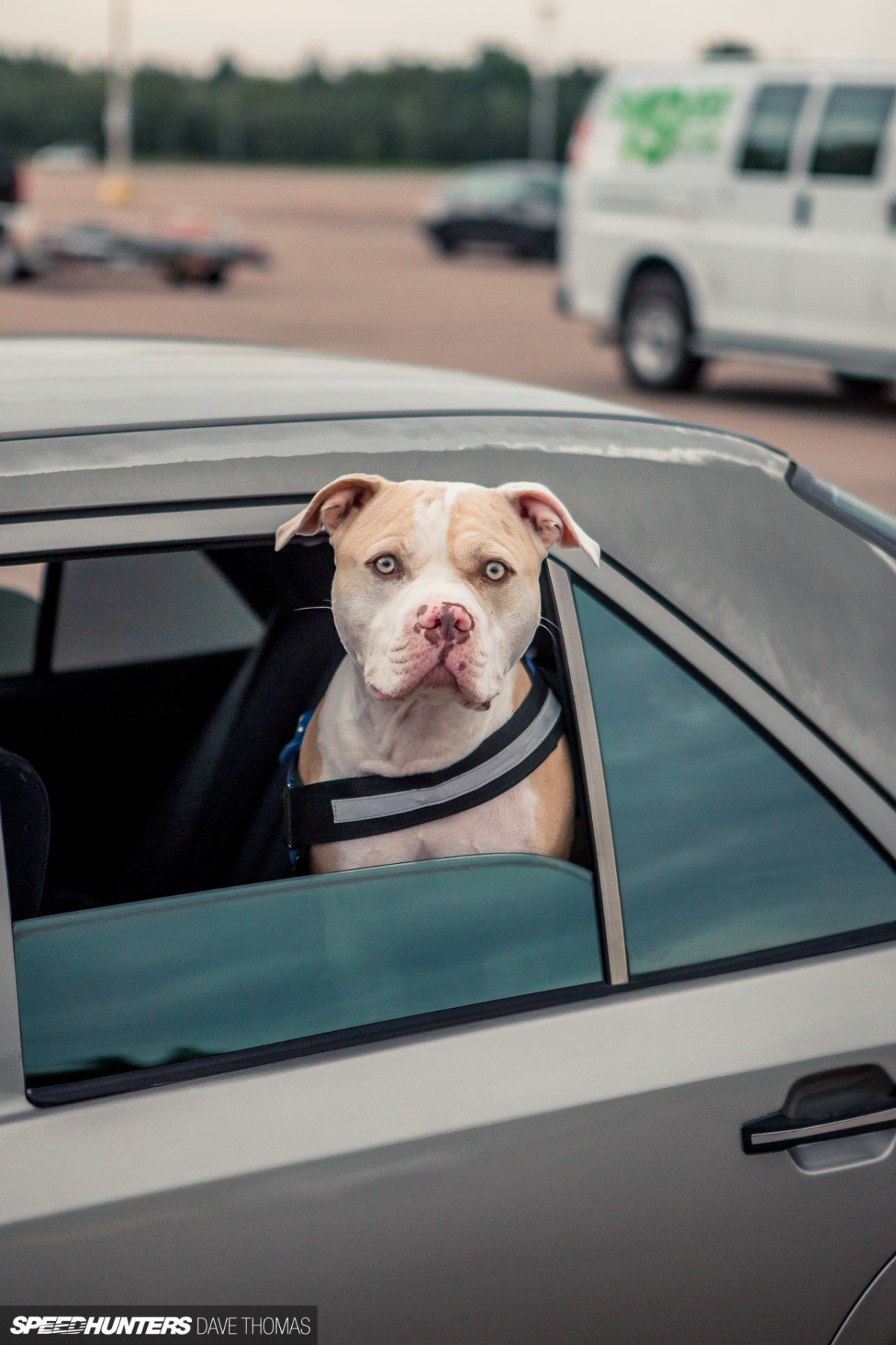 stance-east-summer-slam-jam-2023-dave-thomas-speedhunters-50