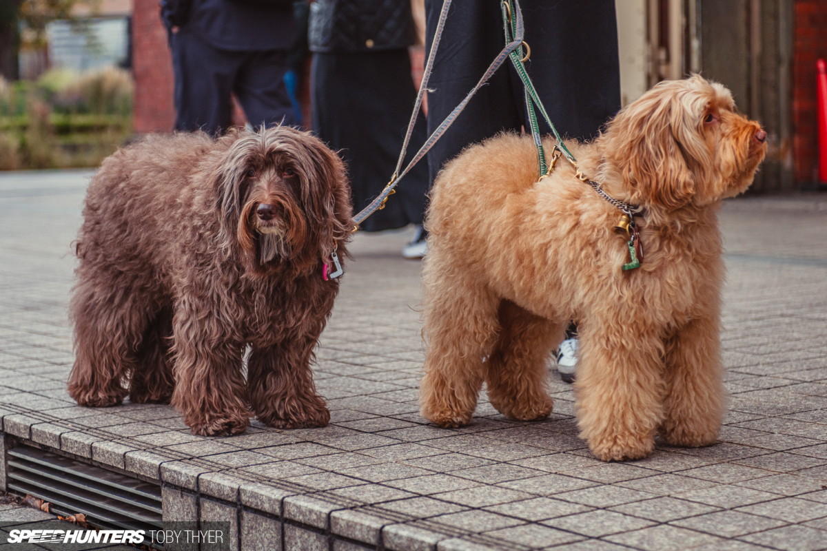 Toby_Thyer_Photographer-12