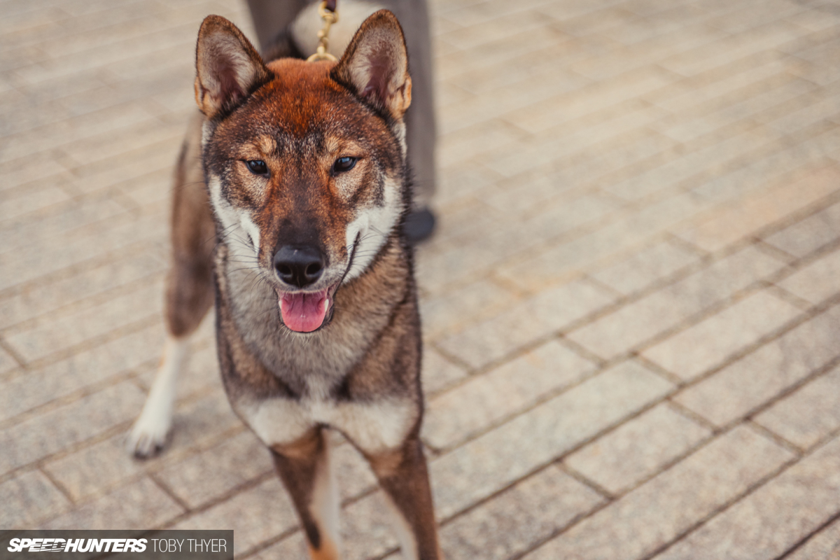 Toby_Thyer_Photographer-39