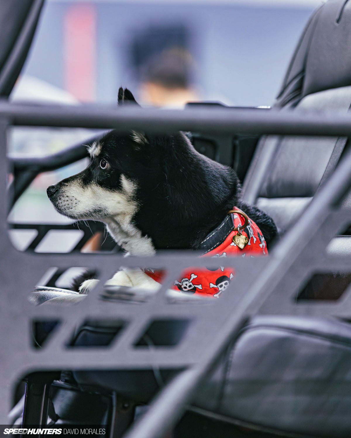 Speedhunters_David_Morales_0Z6A8480-Enhanced-NR