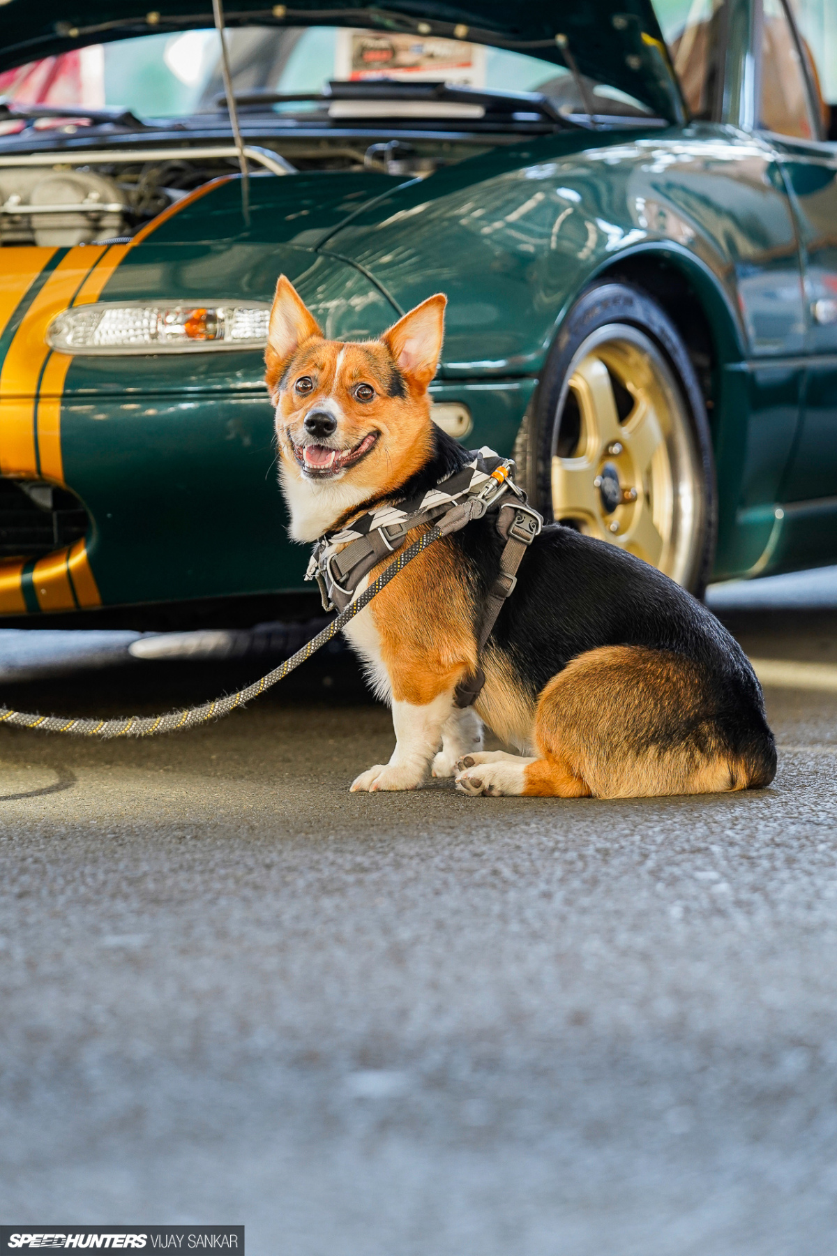 Vijay_Sankar_Speedhunters_TTS1217