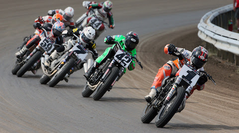 AMA Pro Flat Track