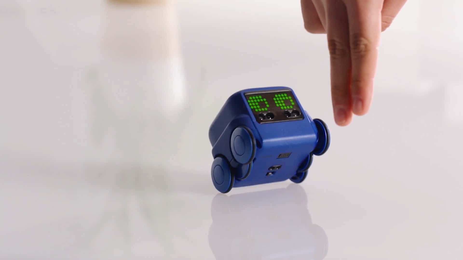 boxer from spin master toys uk ltd