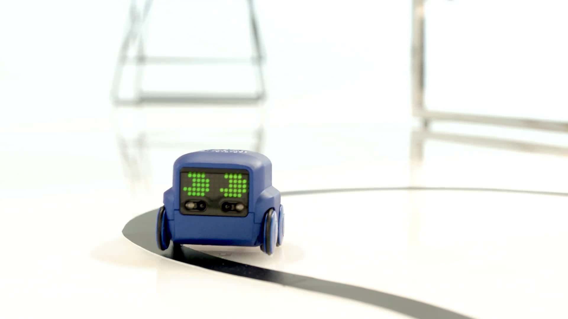 boxer from spin master toys uk ltd