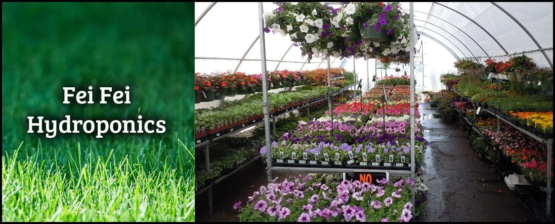 Fei Fei Hydroponics Is A Gardening Store In South El Monte Ca