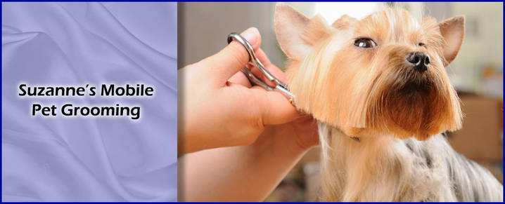 suzanne's mobile pet grooming
