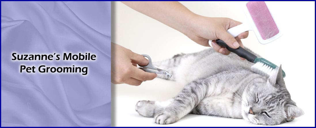 suzanne's mobile pet grooming