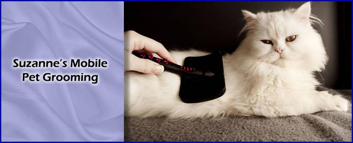 suzanne's mobile pet grooming
