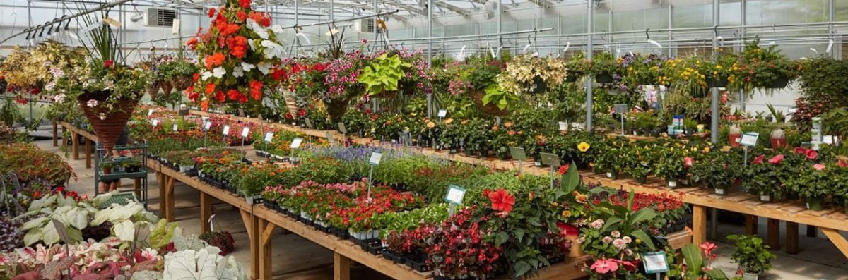 Colonial Gardens is a Garden Center in Blue Springs, MO