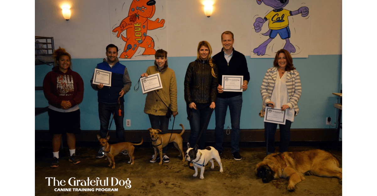 grateful dogs daycare