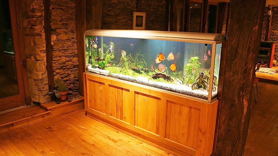 5 Star Aquariums is a Aquarium Store in Oceanside, CA