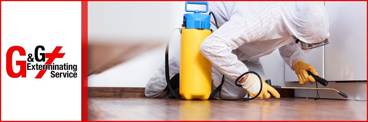 G&G Exterminating Service is an Exterminator in Douglasville, GA