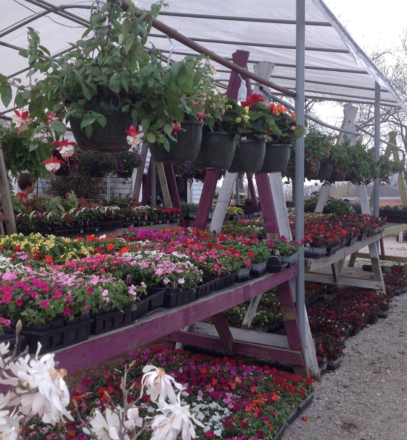 Hartke Nursery is a Plant Nursery in St. Louis, MO 63132