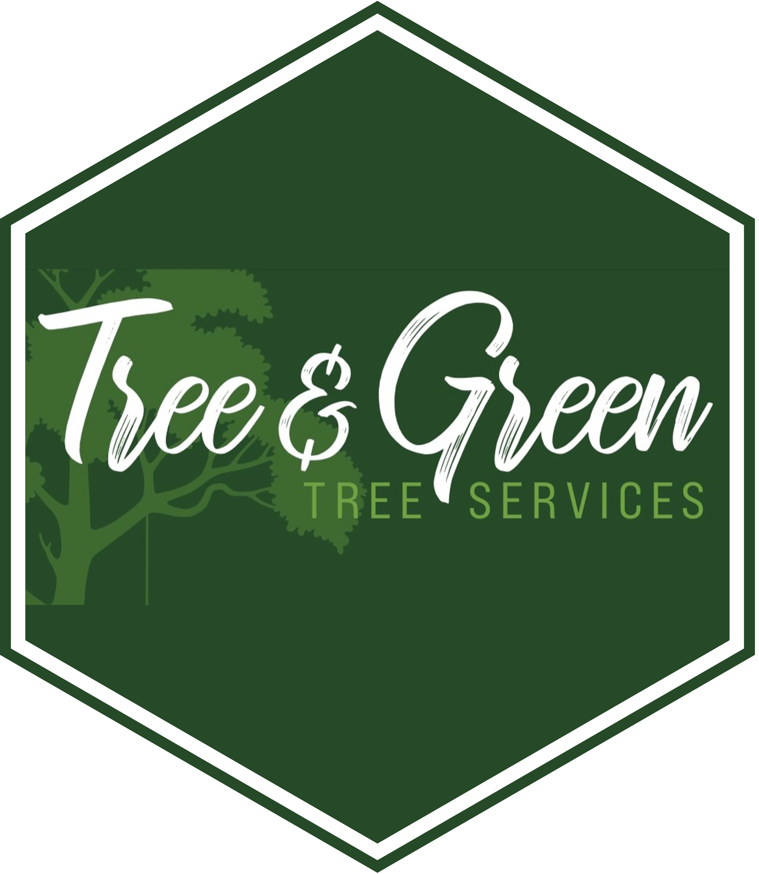 Tree and Green Services Offers Tree Services in Auburn, AL 36830