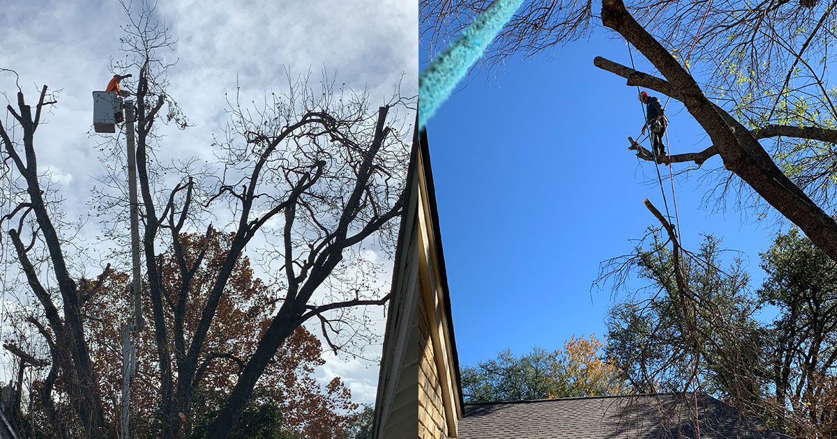 Gallery Artistic Trees Inc