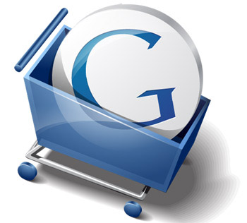 google-checkout-icon