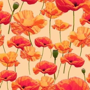 Poppy Fabric Wallpaper Home Decor Spoonflower