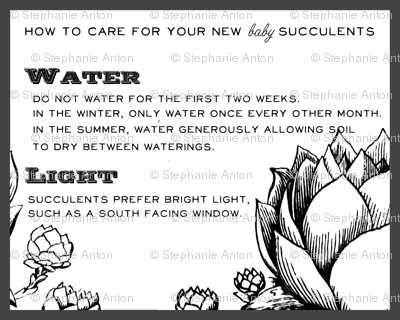 Baby Succulent Info Sheet fabric - stephanie - Spoonflower