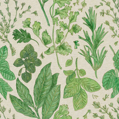 Herbs wallpaper - maiteoz - Spoonflower