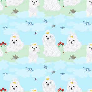 Maltese - Bows wallpaper - sherry-savannah - Spoonflower