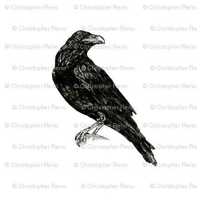 Raven fabric - cwreno2001 - Spoonflower