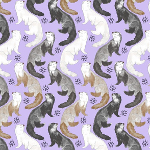 ferret fabric, wallpaper & home decor - Spoonflower