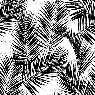 palm leaves - black on white, small. silhuettes tropical forest black