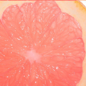 Snowcatcher Grapefruit