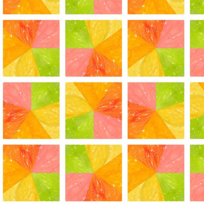 Snowcatcher Citrus Patchwork