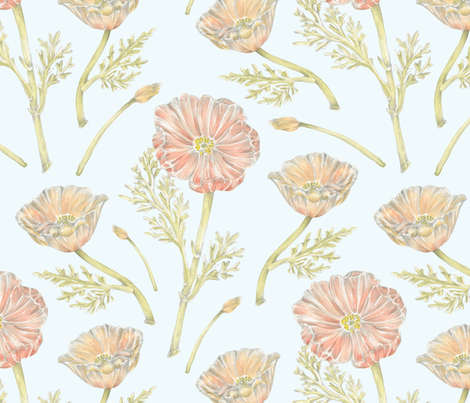 California poppy pattern wallpaper  ericacatherineillustration