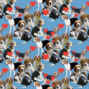 beagle fabric, wallpaper & home decor - Spoonflower