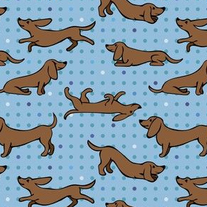 Teckel Caractère Prix Alimentation Santé Fiche Race Chien