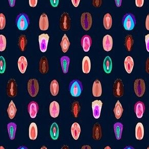 variety of vulvas-Navy Blue