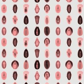 Variety of Vulva's- Natural  