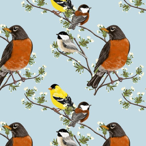North American Backyard Birds Spoonflower