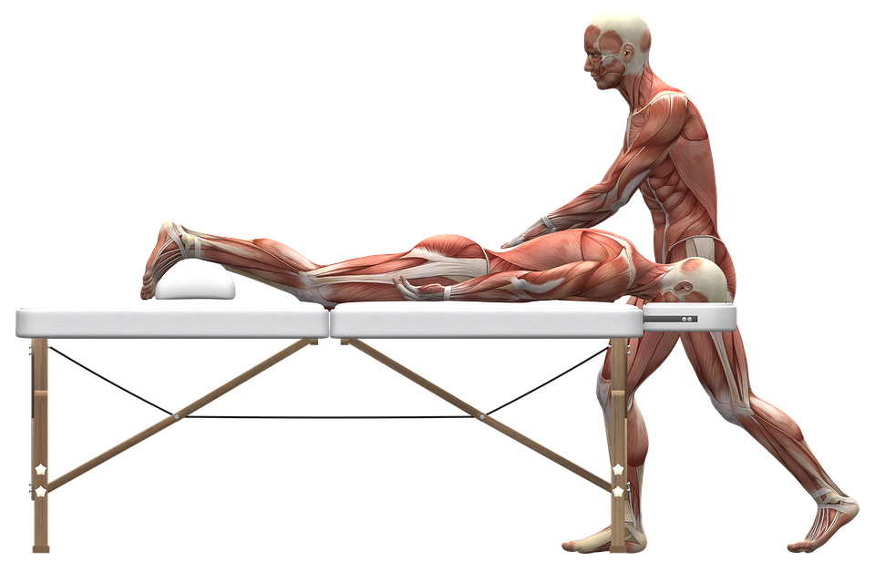 Cupping Massage In Haarlem