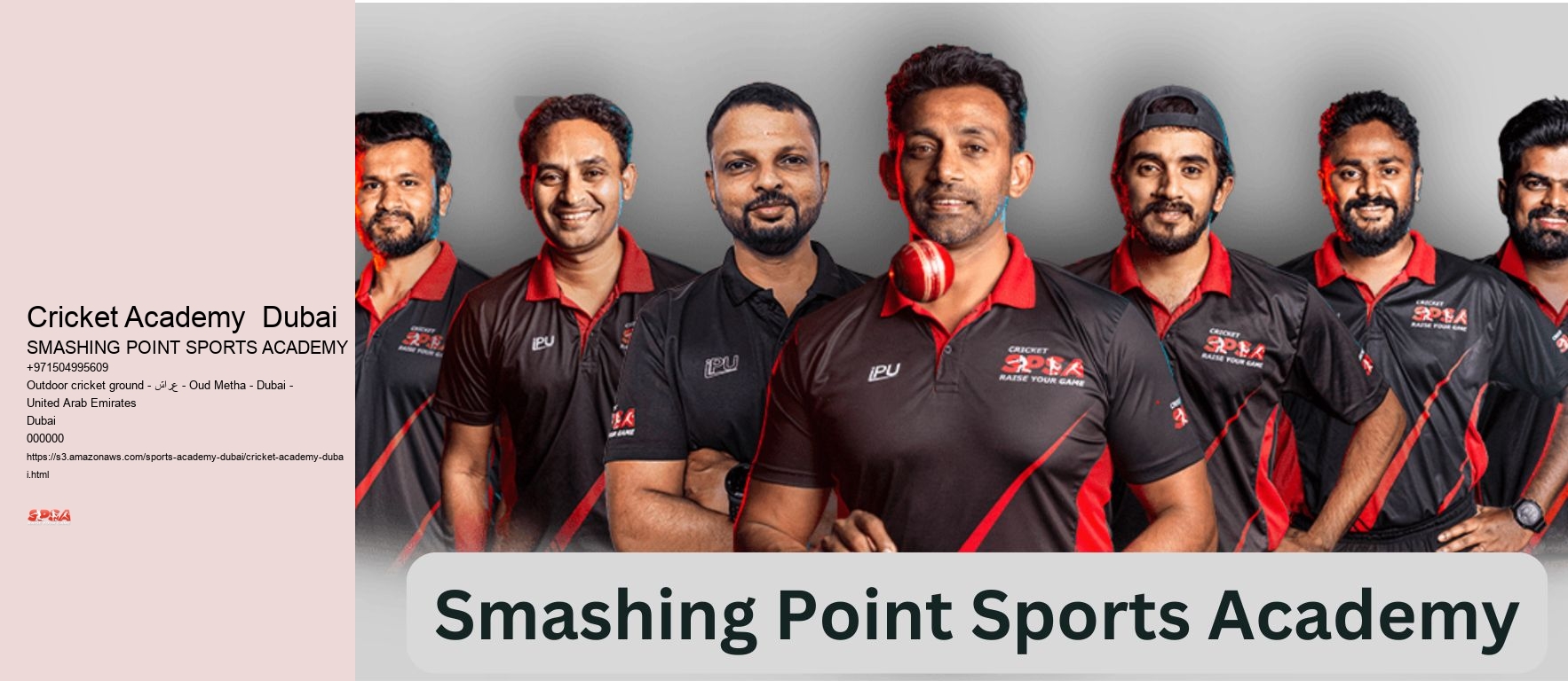 Cricket Academy  Dubai