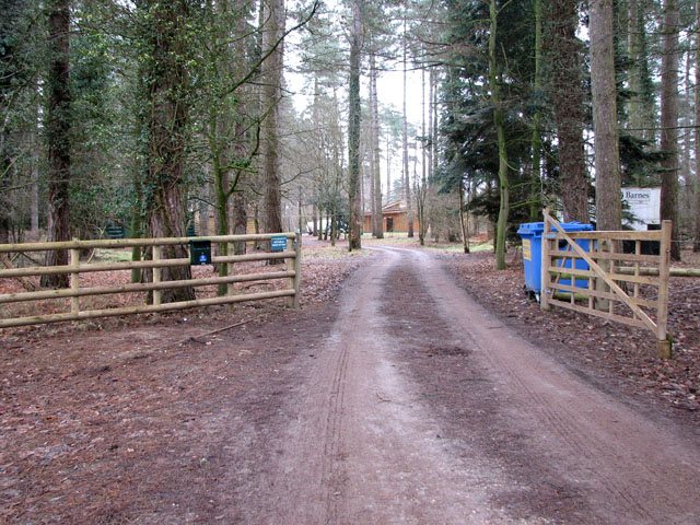 Woodlands Adventure and Outdoor Learning