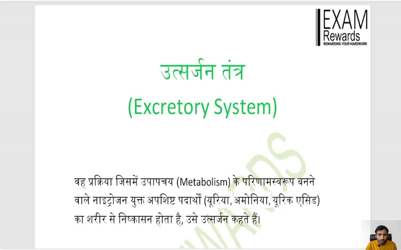 Excretory system