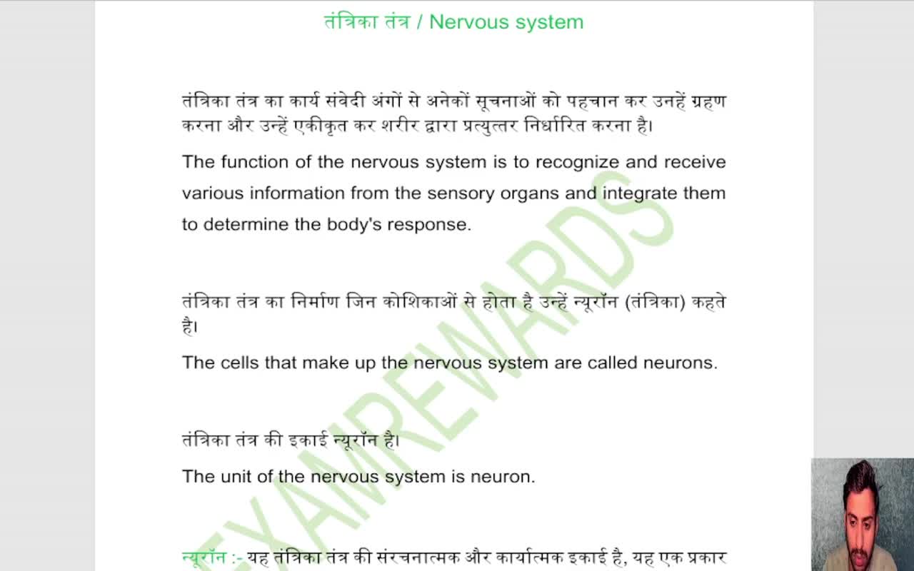 Nervous system (1)